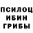 Псилоцибиновые грибы мухоморы Markiza Shaulova