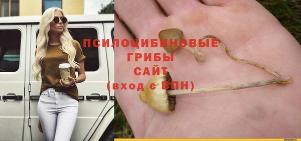 ГАЛЛЮЦИНОГЕННЫЕ ГРИБЫ Приозерск