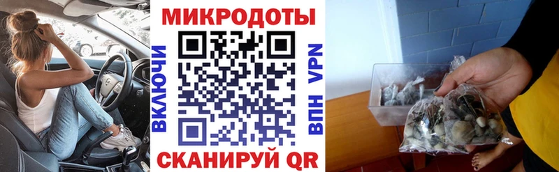 Галлюциногенные грибы Psilocybine cubensis Людиново