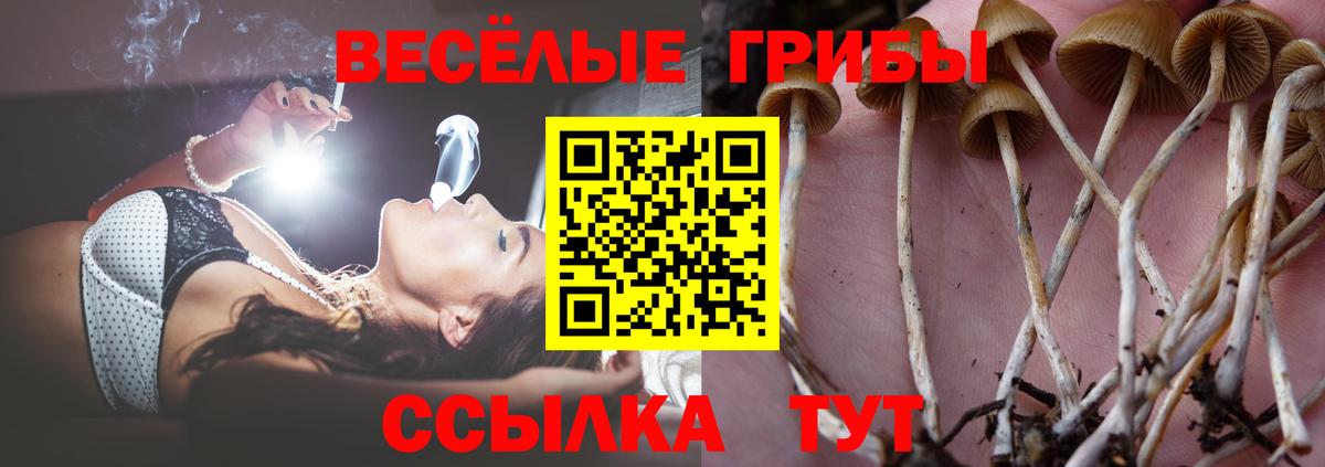 Галлюциногенные грибы мицелий Людиново
