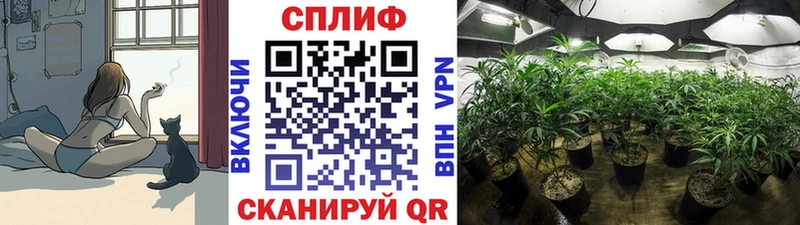 Бошки Шишки марихуана  Людиново 